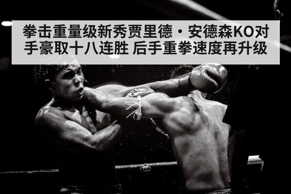 拳击重量级新秀贾里德·安德森KO对手豪取十八连胜 后手重拳速度再升级